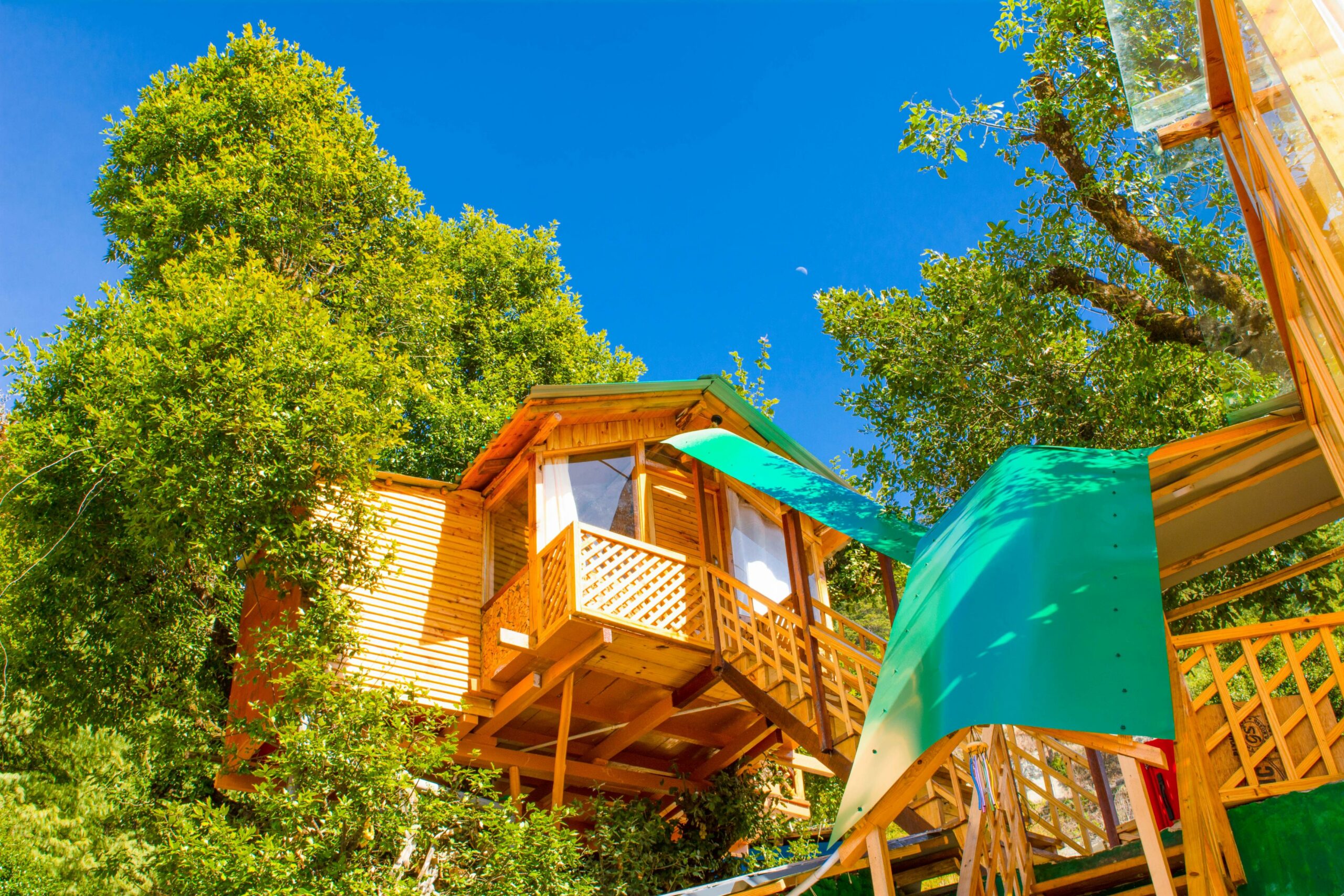 tree house cottages