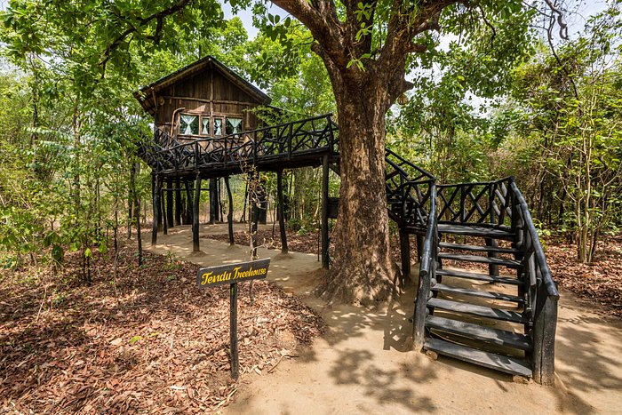 treehouse hideway