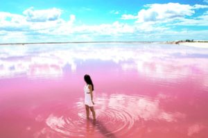 pink lakes around the world