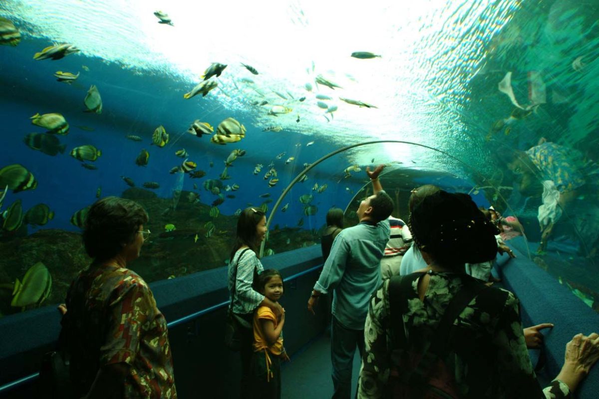 Singapore Underwater world