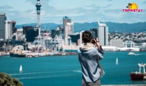 Tourist Attractions in Auckland