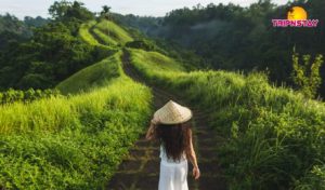 Places to visit in Ubud City