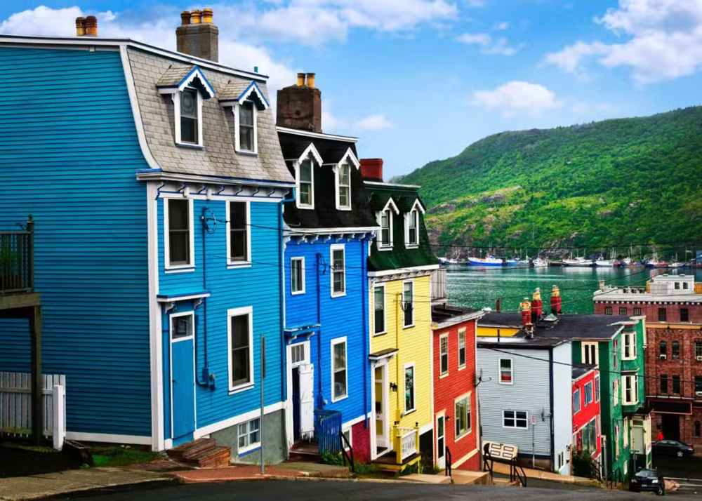 things to do in st john city NL