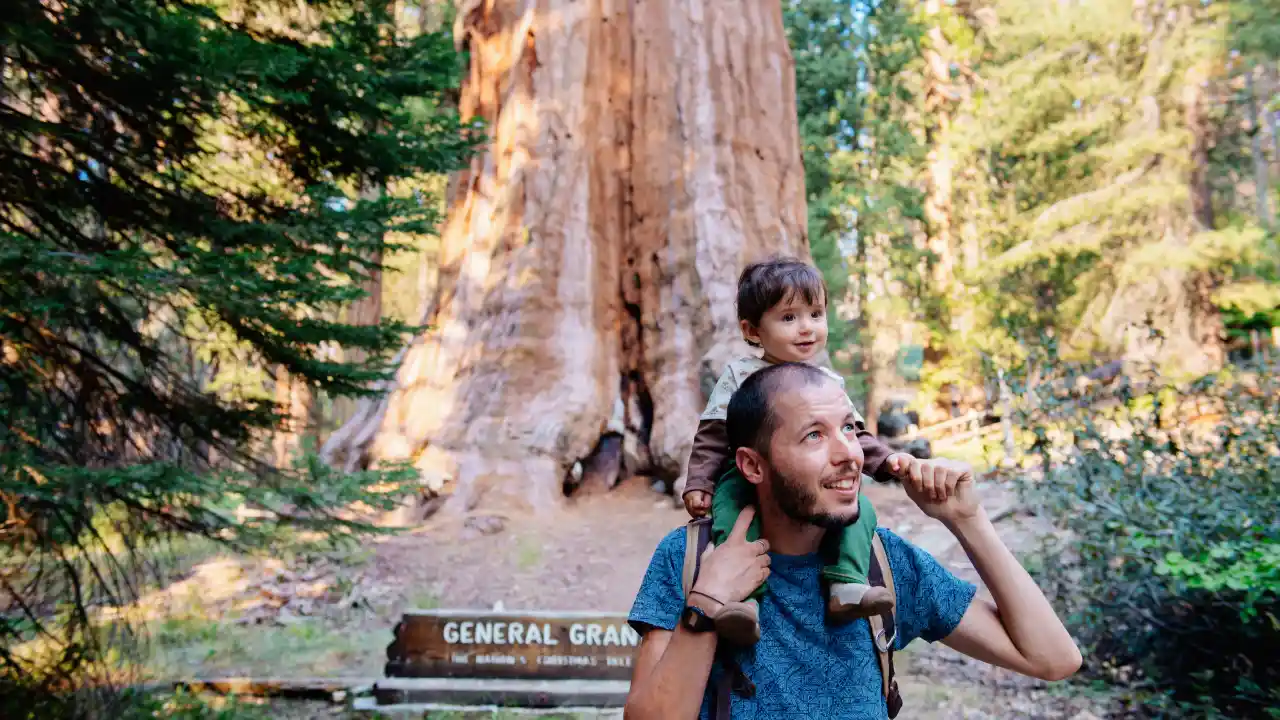 Sequoia National Park, California