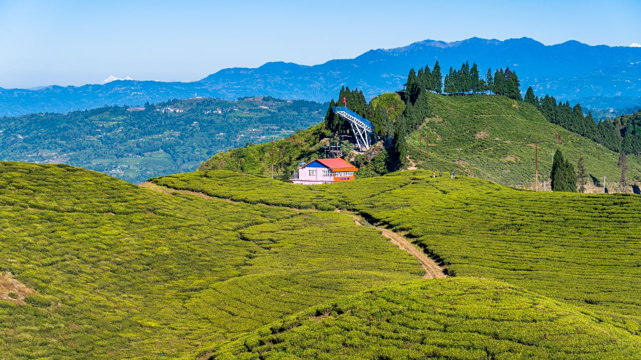 Hill Stations