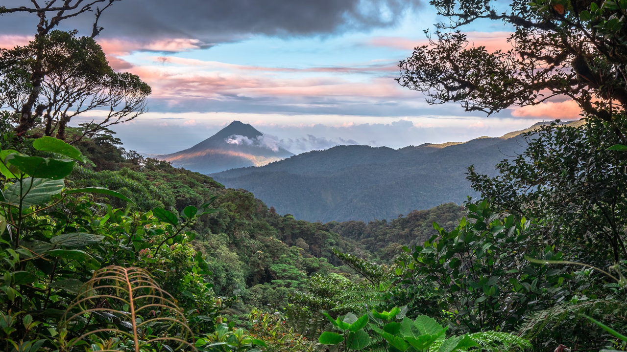 Monteverde Cloud Forest