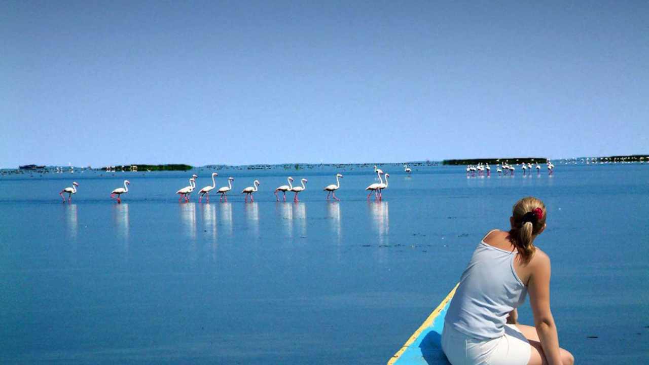 Chilika Lake
